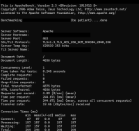 Hardcoded DNS resolution.png